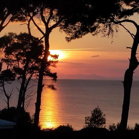 Thetys * Taranto